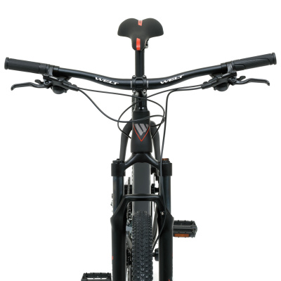 Велосипед горный Welt Raven 2.1 HD 29 2024 Matt Black от магазина Адреналин