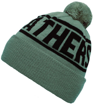 Шапка мужская Horsefeathers ROYCE BEANIE (iceberg green)